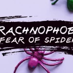 All About Arachnophobia: Why Are We Afraid of Spiders?